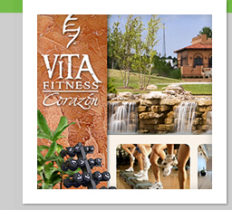 Vita Fitness Club Web Design and Logo Design